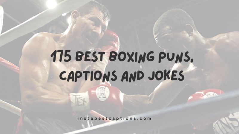 175 Best Boxing Puns, Captions and Jokes