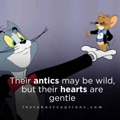 125 Tom and Jerry Quotes For Instagram 3 Tom and Jerry Love Quotes