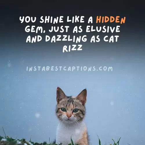 Top 50 Cat Rizz and Pick up Lines 1 Cat Rizz