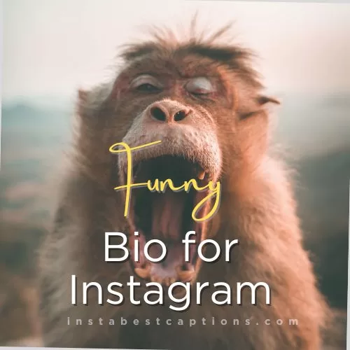 140+ Funny Instagram Bio Ideas 2023 2 Funny Bio for Instagram