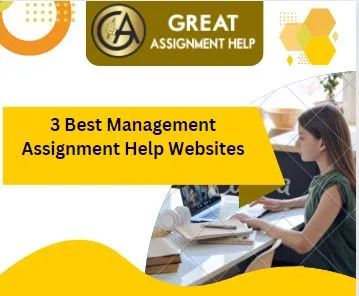 3 Best Management Assignment Help Websites