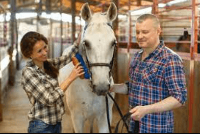 Building Bonds: My Riding Stables Unveiled