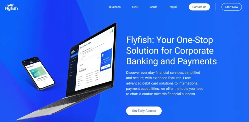 Flyfish Review – Take Advantage of Efficient Corporate Payroll Services
